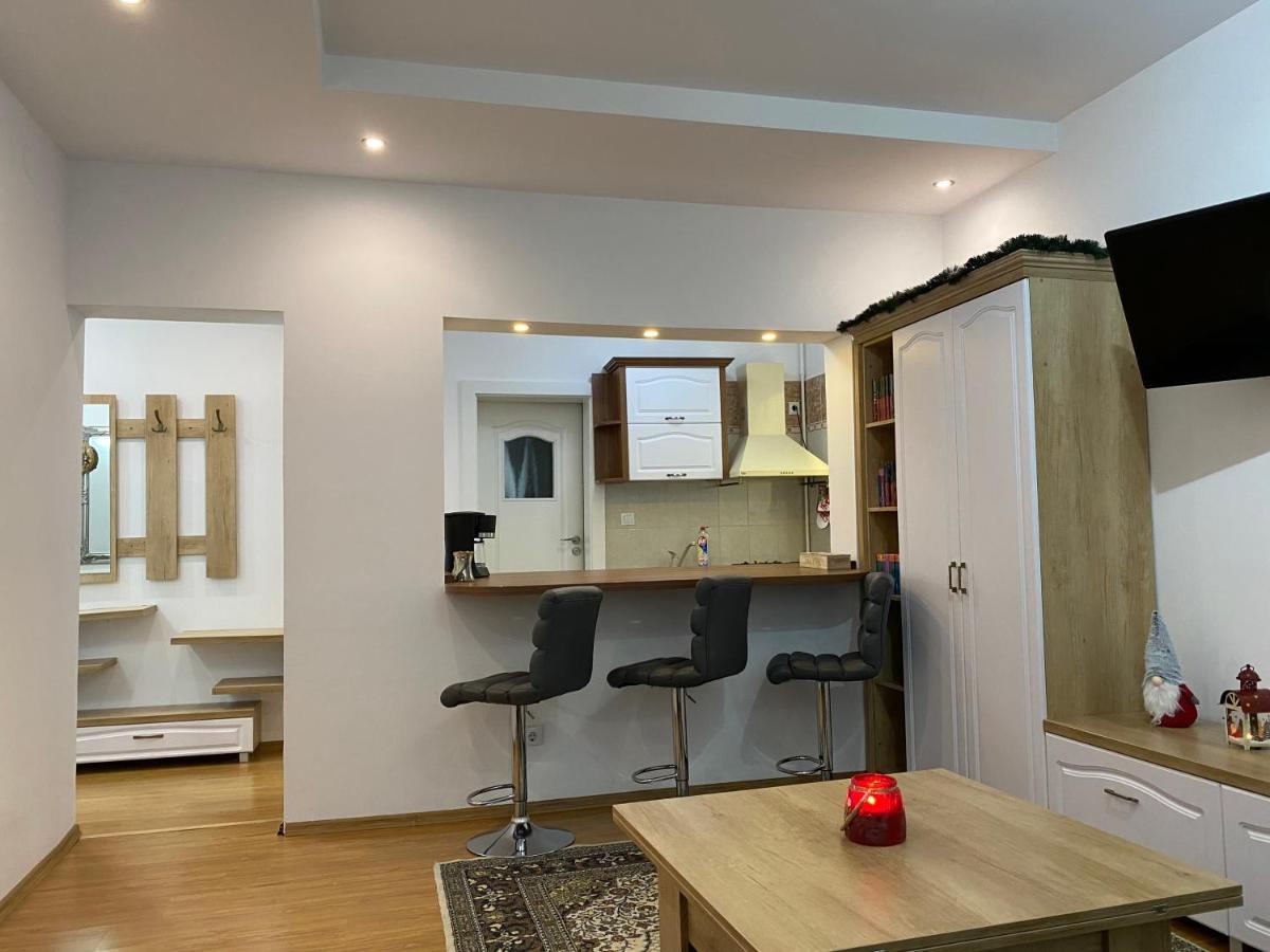 Tampa Hill Residence Braşov Buitenkant foto